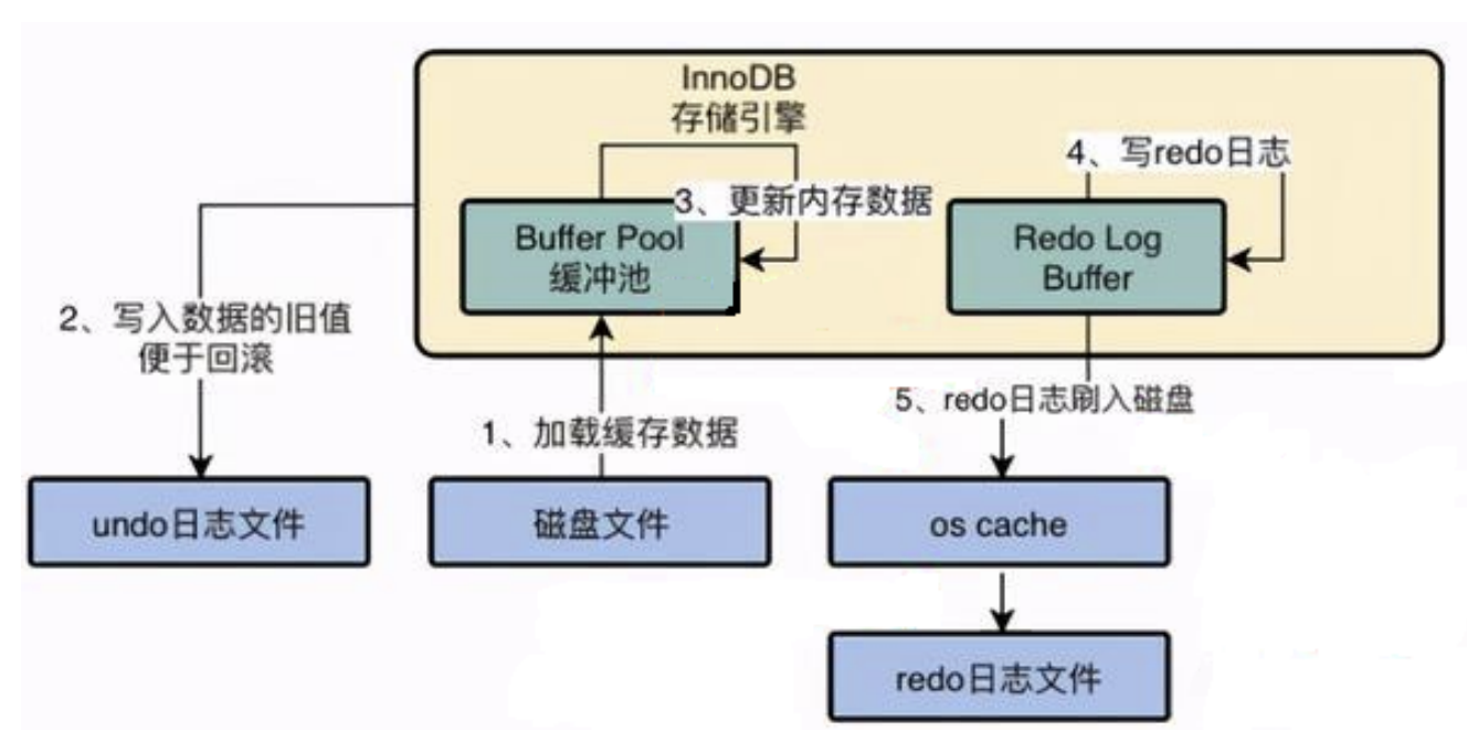 redo日志和undo日志